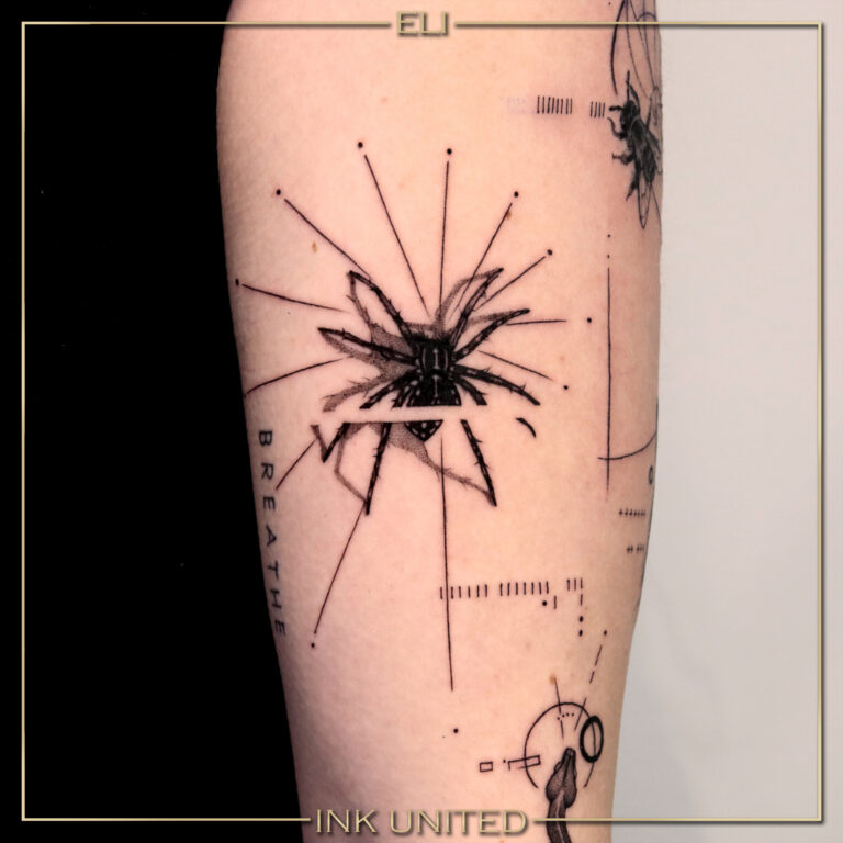 e1 (1)